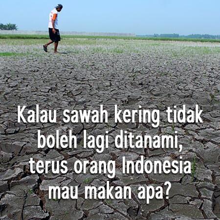 Sawah Kering, Swasembada Pangan Molor 5 Tahun
