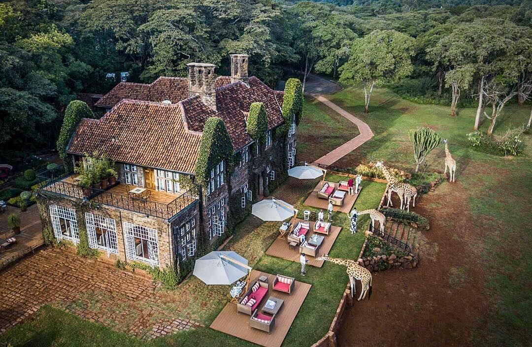 Seru! Hotel di Kenya Ini Tawarkan Sensasi Menginap Bareng Jerapah