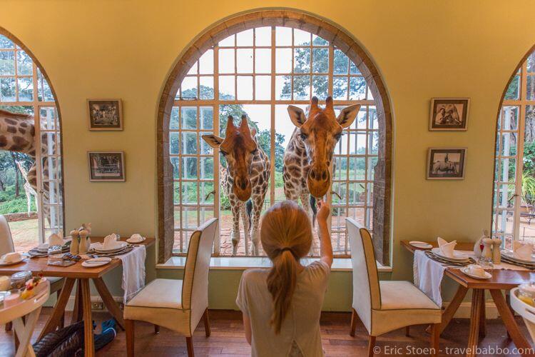 Seru! Hotel di Kenya Ini Tawarkan Sensasi Menginap Bareng Jerapah