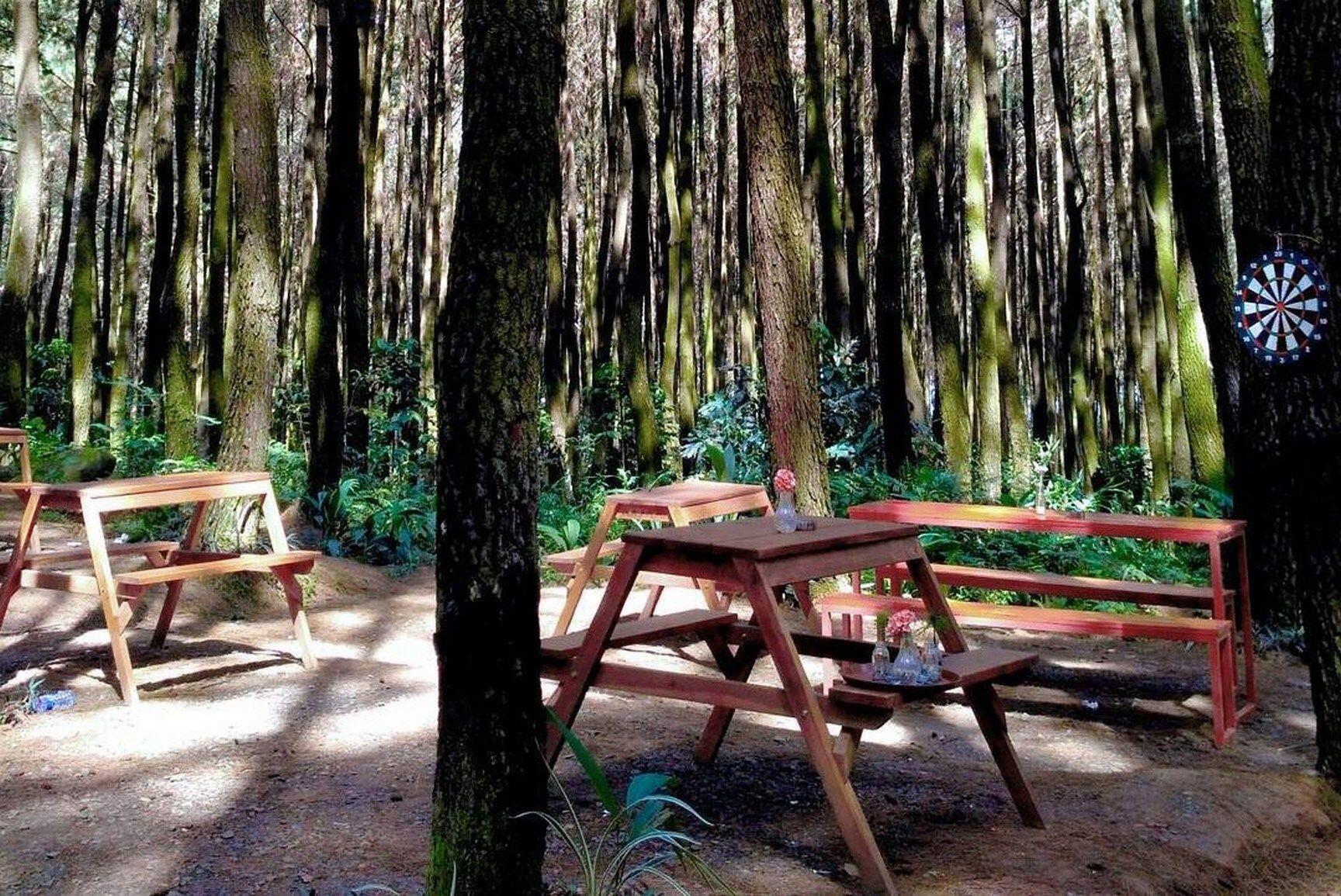 Bosen Liburan yang Gitu Saja? Cobain Deh Camping di Bogor Ini