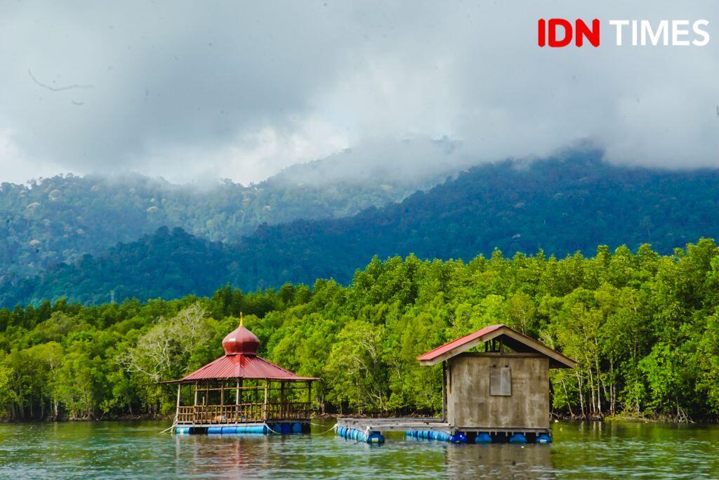 15 Potret Seru Geoforest Mangrove Tour Langkawi, Bikin Susah Move On!