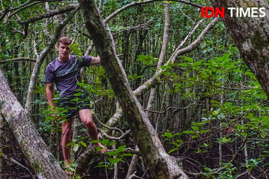 15 Potret Seru Geoforest Mangrove Tour Langkawi, Bikin Susah Move On!