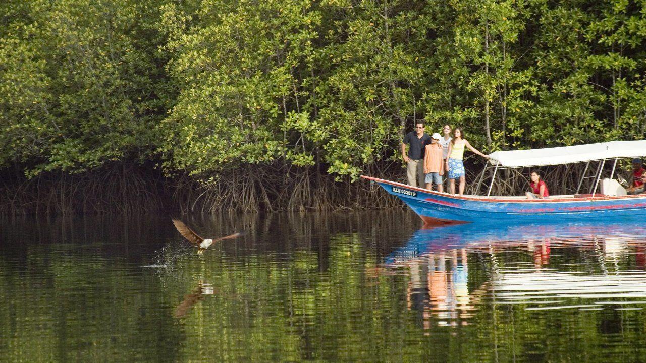 15 Potret Seru Geoforest Mangrove Tour Langkawi, Bikin Susah Move On!