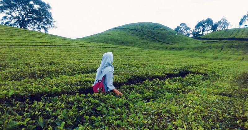 6 Tempat Wisata Populer di Siantar, Hayo Sudah Tahu Belum?