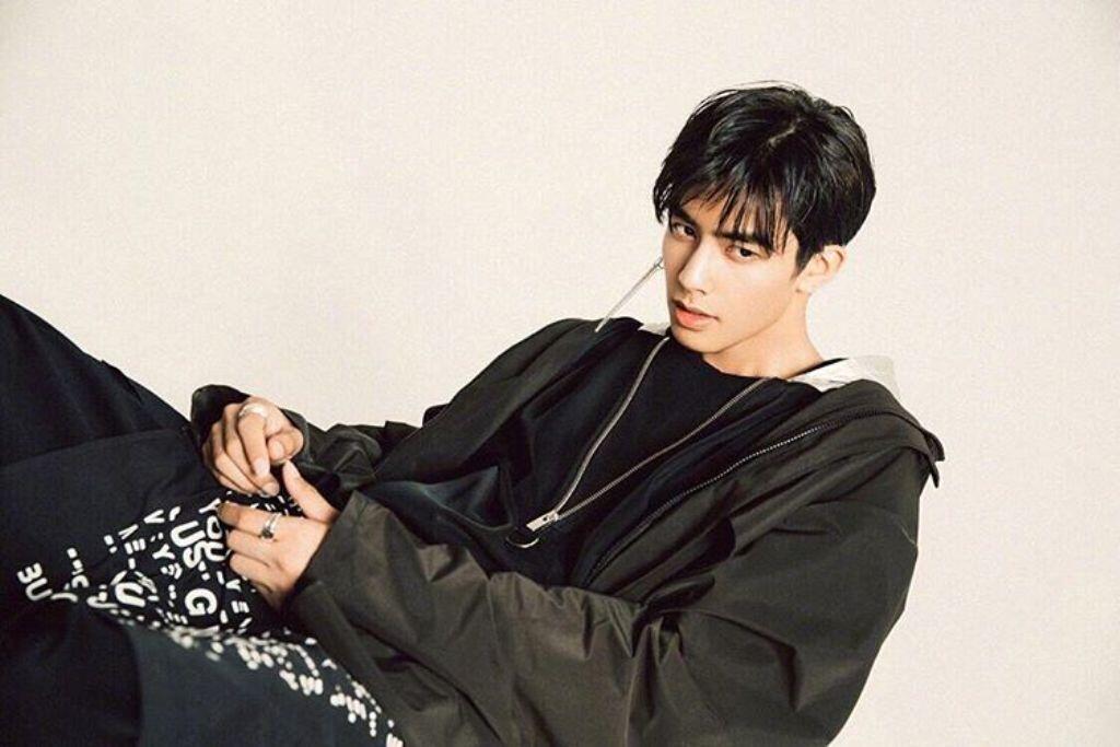 7 Fakta Menarik Song Wei Long Aktor China yang Katanya Mirip Sehun EXO