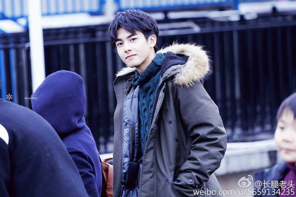 7 Fakta Menarik Song Wei Long Aktor China yang Katanya Mirip Sehun EXO