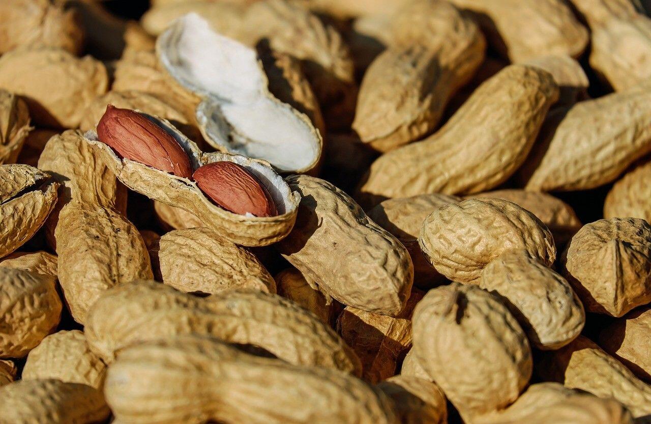 8 Makanan Ini Lebih Baik Dikonsumsi Mentah daripada Mengolahnya Lho!