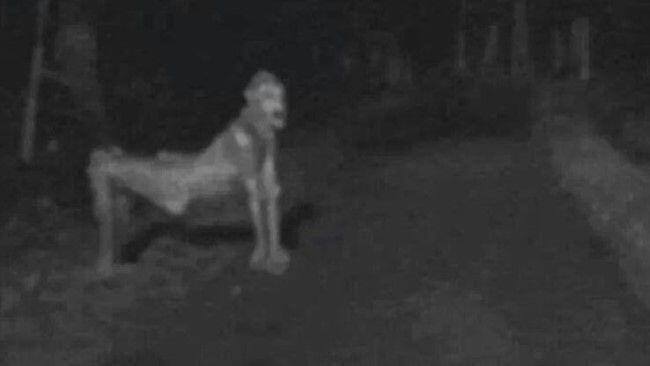 Ini Dia Deretan Foto Paling Menyeramkan Website Deep Web, Penakut Jangan Baca !