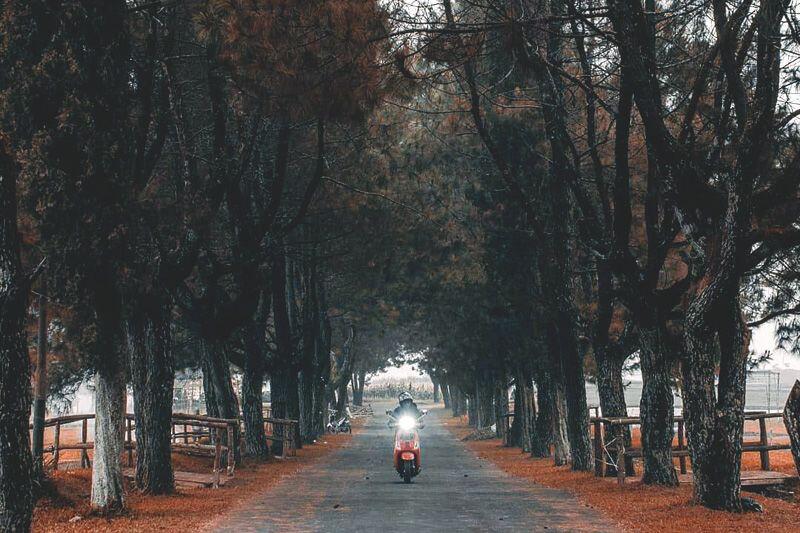 10 Rekomendasi Wisata Alam yang Menawan di Lembang, Bandung