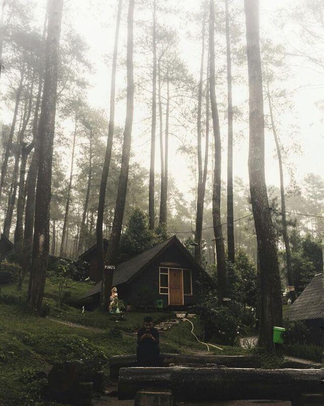 10 Rekomendasi Wisata Alam yang Menawan di Lembang, Bandung
