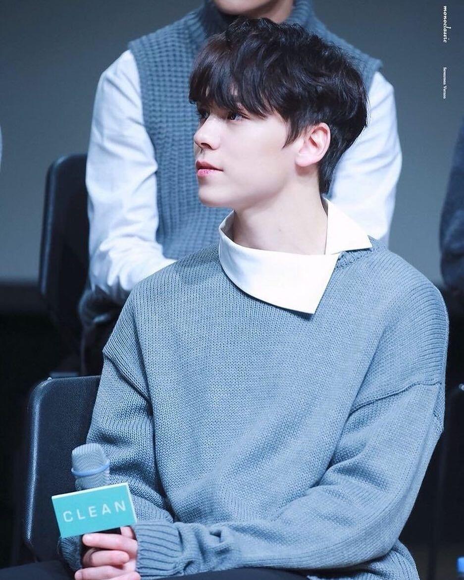 Jadi Idol Blasteran, Ini 8 Transformasi Vernon Seventeen yang Imut!