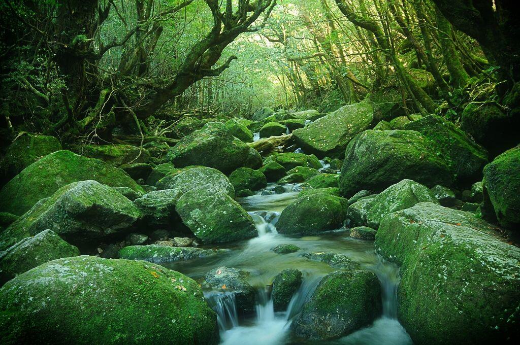 Download 75 Background Pemandangan Gunung Fuji HD Terbaik