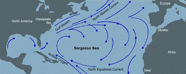 5 Laut Paling Seram Di Dunia, Salah Satunya Di Indonesia