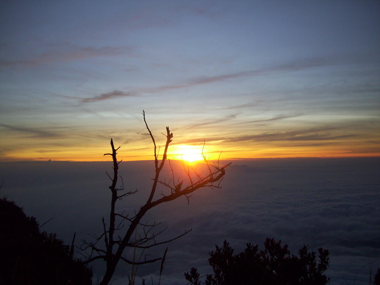 Pesona Samudra Diatas Awan Puncak Sindoro