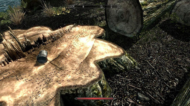 5 Easter Egg yang Tersembunyi di Game Skyrim Special Edition