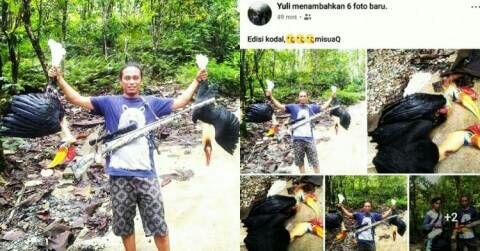 Bangga Pamer Burung Keramat Suku Dayak Hasil Buruan di FB Pria ini Jadi Buron