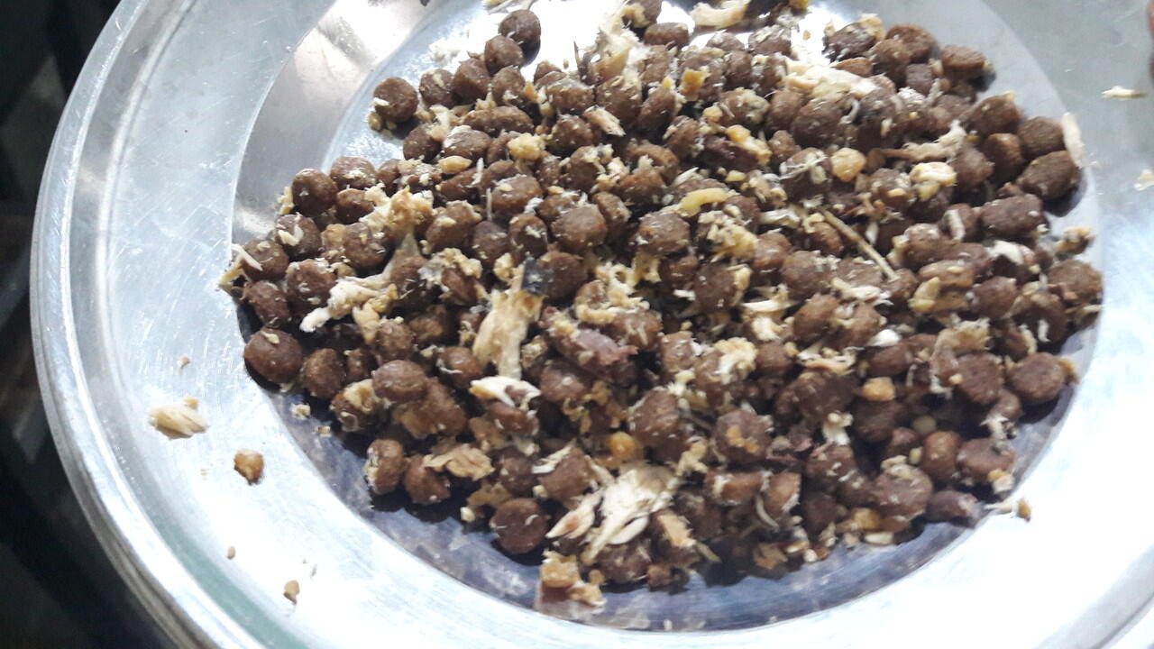 ALL ABOUT CAT FOOD (Dry Food/Kibble Wet Food/Canned) Page 466 KASKUS