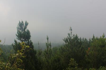 Puncak Jehan, Dulu dan Sekarang
