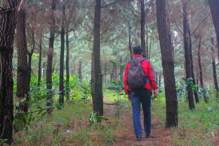 Puncak Jehan, Dulu dan Sekarang