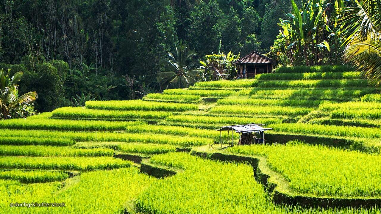 Tempat WIsata Mantap Bali