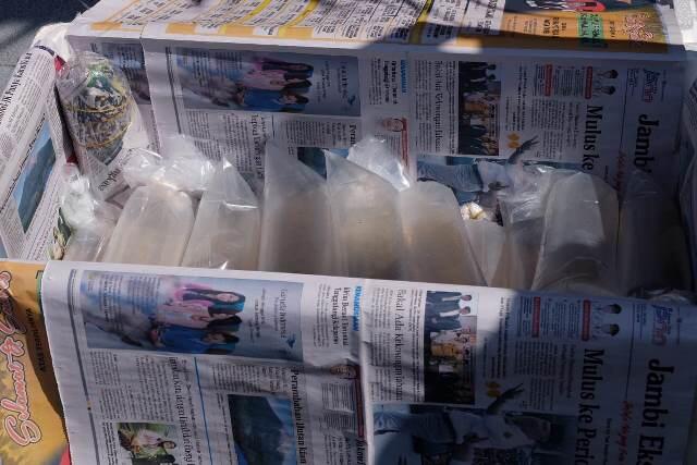 Polisi Gagalkan Upaya Penyelundupan Ratusan Ribu Bibit Lobster