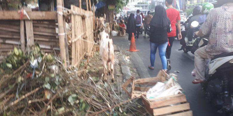 Jelang Idul Adha, Puluhan Pedagang Kurban Duduki Trotoar Tanah Abang