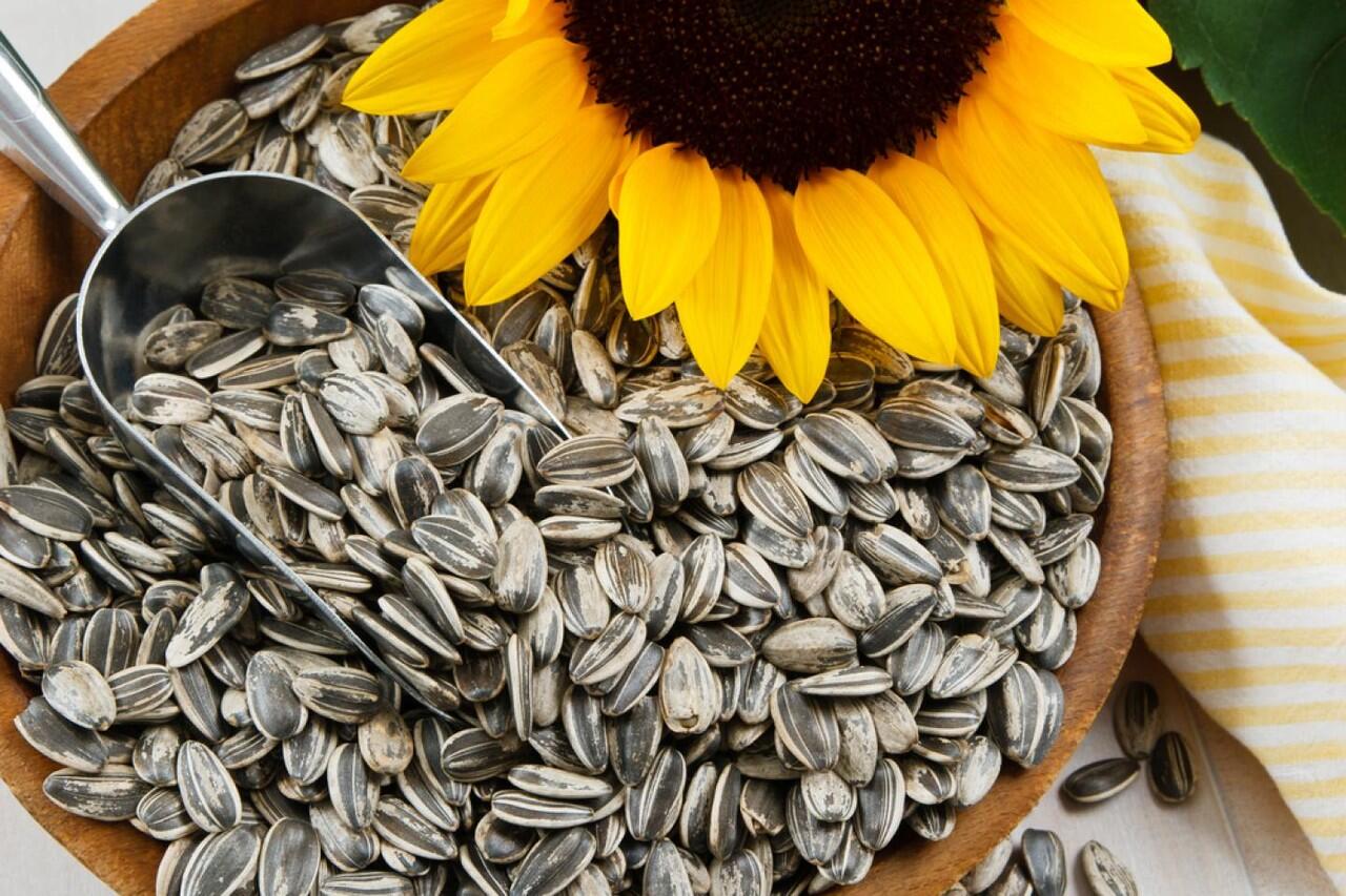 8 Makanan Penurun Darah Tinggi Paling Ampuh