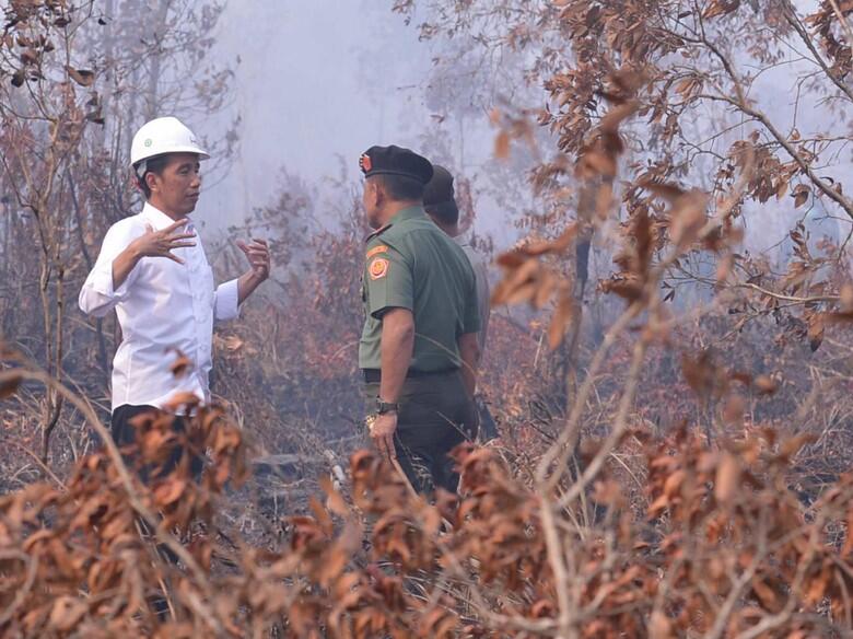 Jokowi Divonis Lakukan Perbuatan Melawan Hukum di Karhutla
