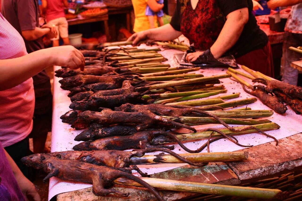 PASAR EKSTRIM TOMOHON +( DAFTAR HARGA) , GUDANGNYA MAKANAN EKSTREM DI INDONESIA