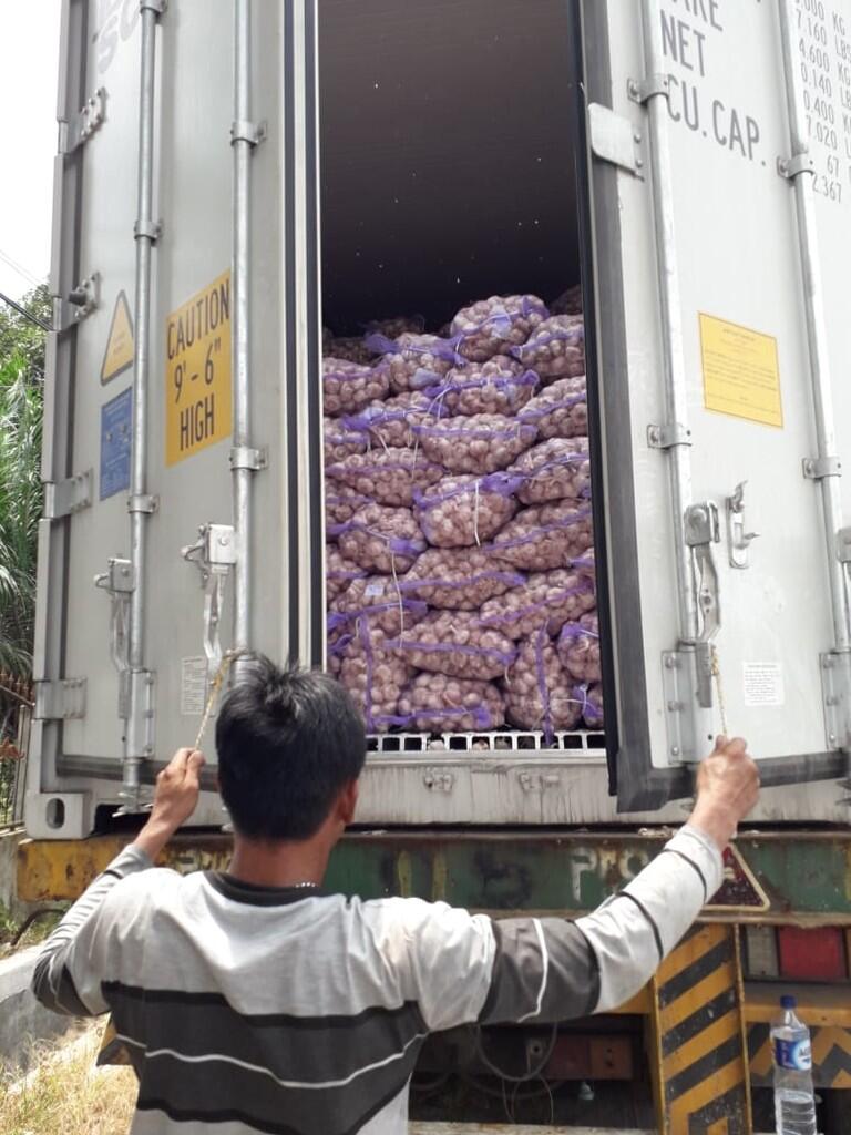 Importir bawang putih