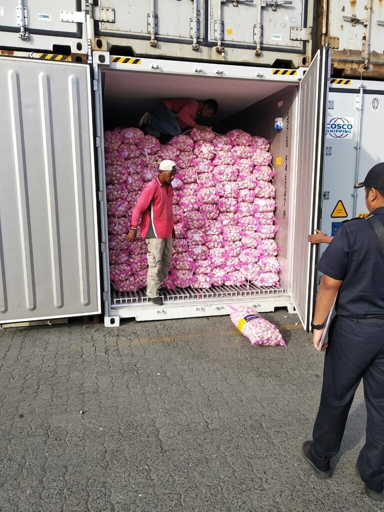 Importir bawang putih