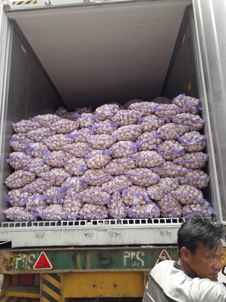 Importir bawang putih