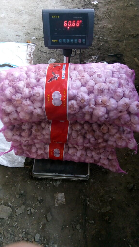 Importir bawang putih