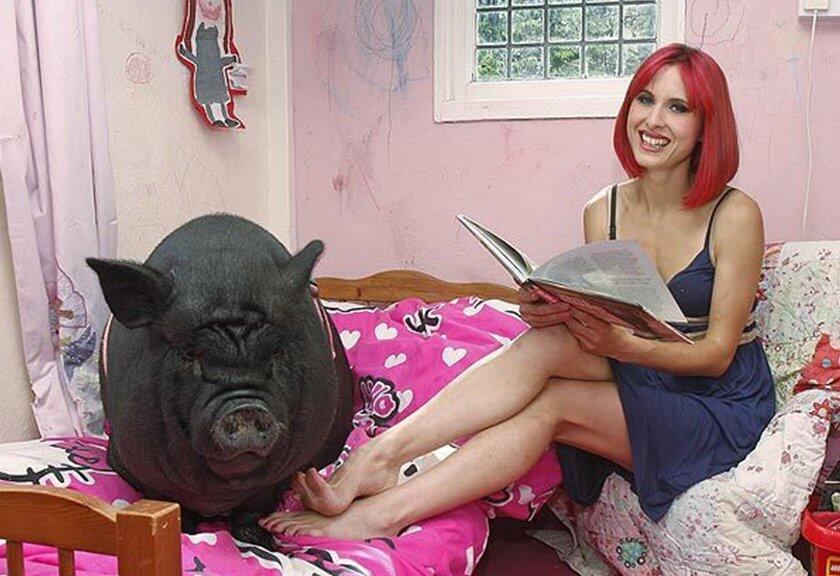 Wanita Cantik Ini Jatuh Cinta Sama Babi Gan, Bukan Baby