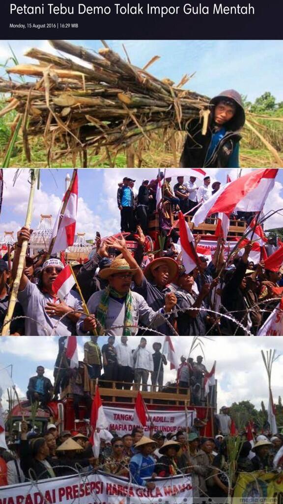 Bulog: Gula Impor Masuk ke Indonesia Mulai September