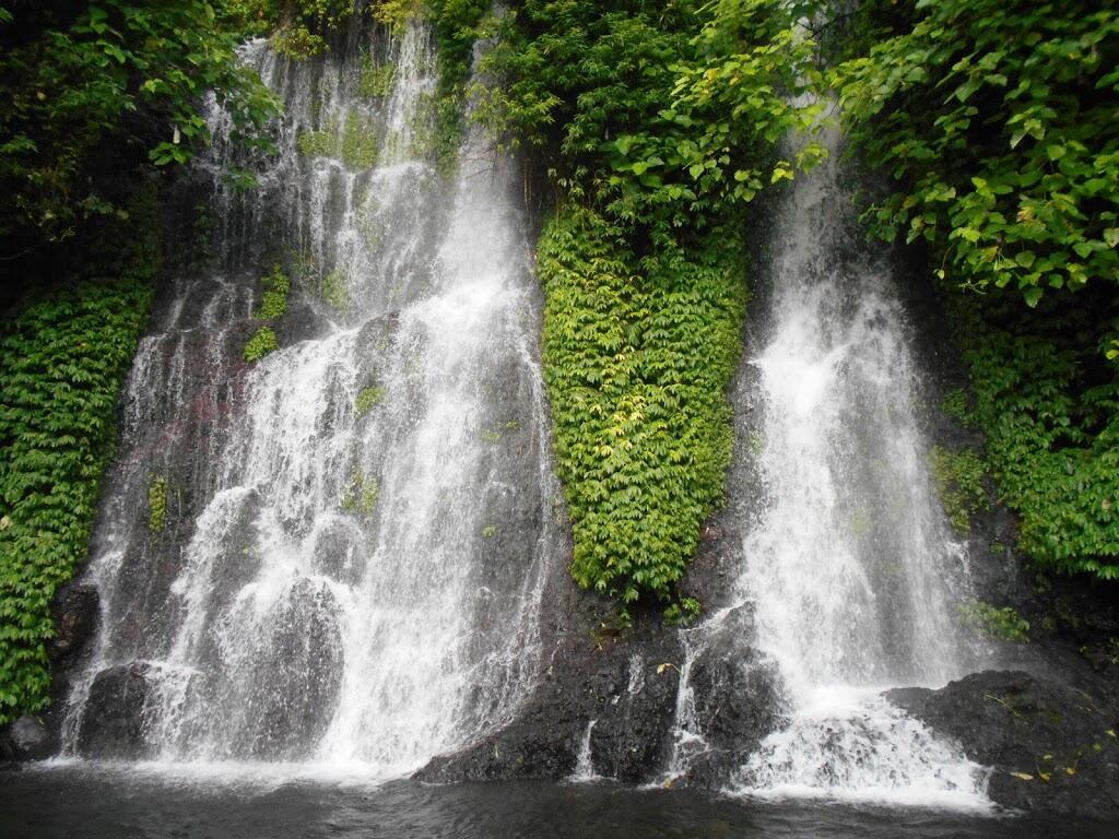 Explore Banyuwangi, Si Kota Petualangan!