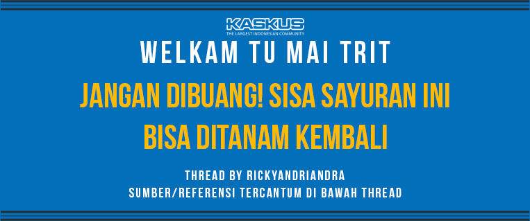 JANGAN DIBUANG! Sisa Sayuran Ini Bisa Ditanam Kembali