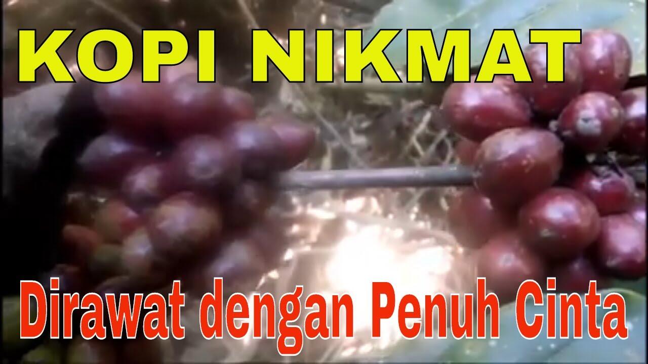 Kenikmatan disetiap Seduhan