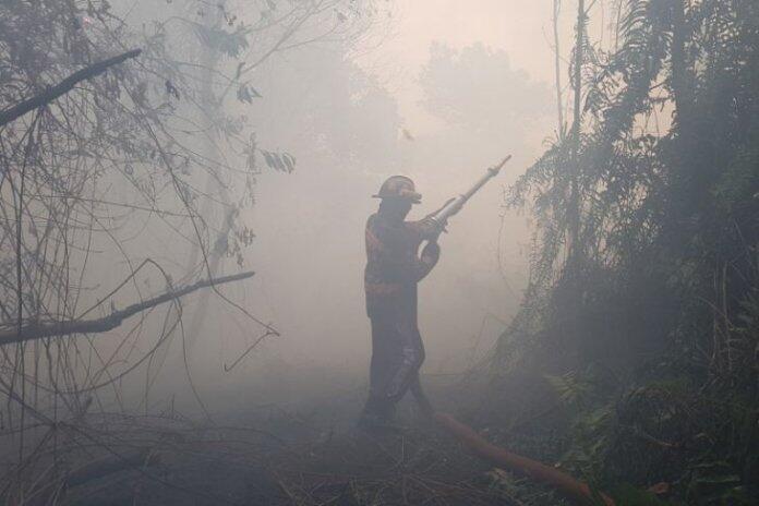 Kahutla Berulang, Sulit Bagi Indonesia Penuhi Komitmen Paris