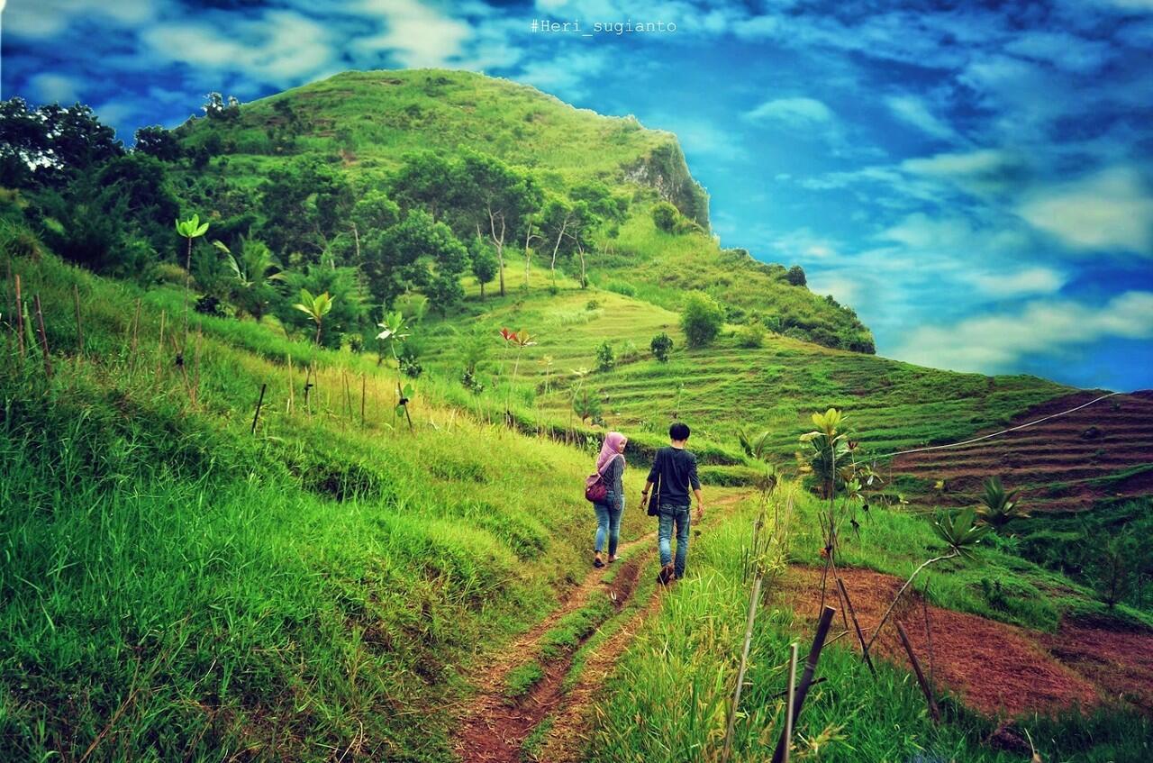 Kebumen Punya Bukit Langit Loh, Yuk Main Kesini