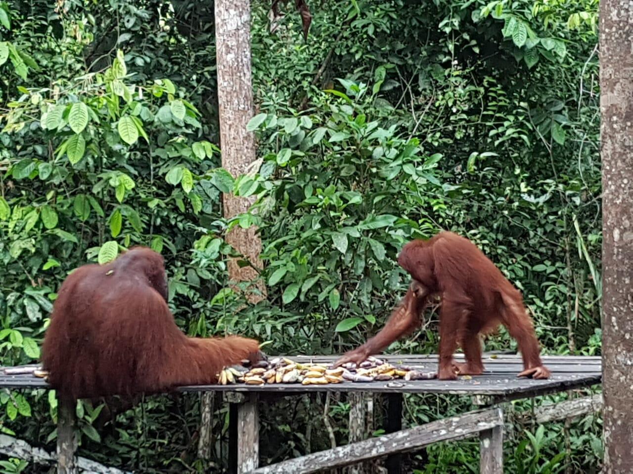 Asiknya Bermalam Di Kapal Klotok