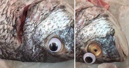 Demi Terlihat Segar, Penjual Ikan Nekat Pasang Mata Palsu Pada Ikan