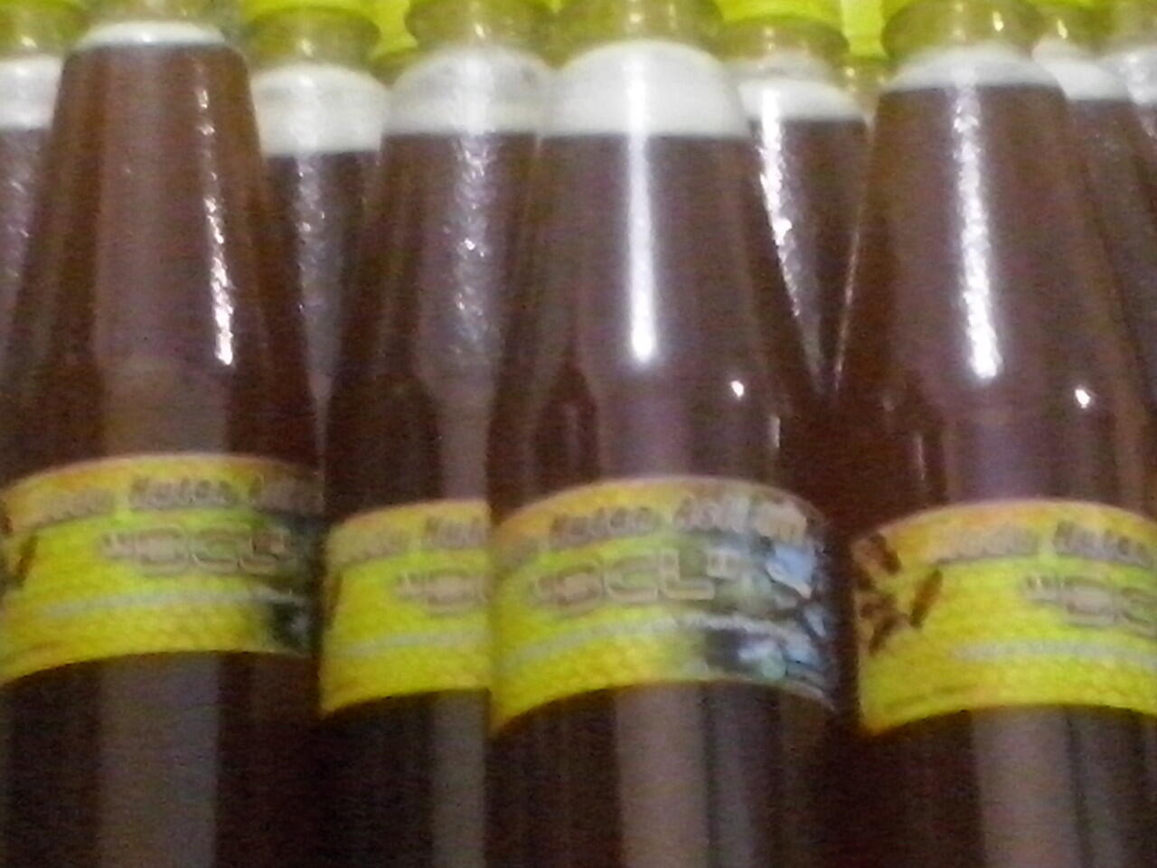 Dicari Reseller Madu Hutan Asli NTT tanpa modal. Silahkan WA 087888031714