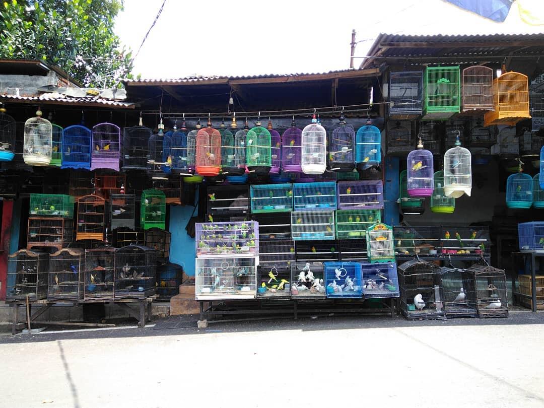 #AslinyaLo Tegas Di Tempat Kerja, Kicau Mania Di Rumah