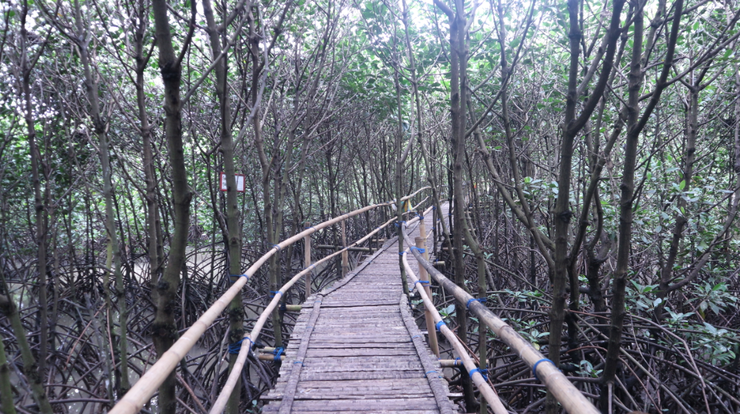 Ada Surga Kecil di Ujung Timur Pulau Jawa &quot;Banyuwangi Part 1&quot;