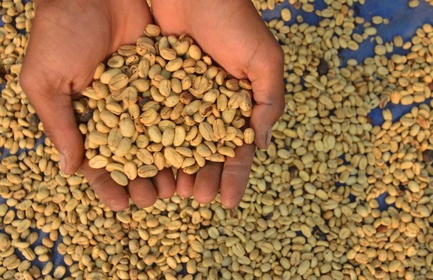 Kopi dan Teh dari Jawa Barat Tembus Pasar Inggris