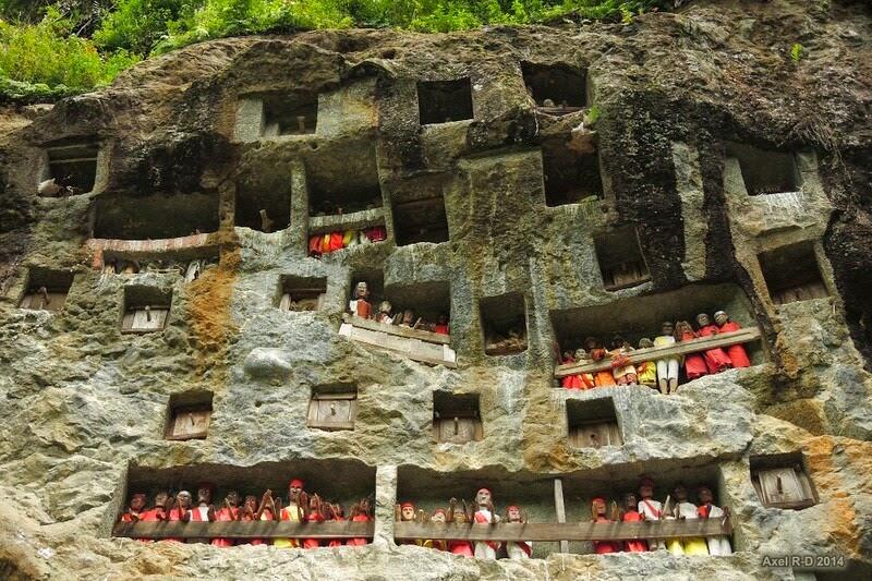 Merinding, Ini 7 Fakta Kuburan Bayi di Tana Toraja yang Jadi Wisata!