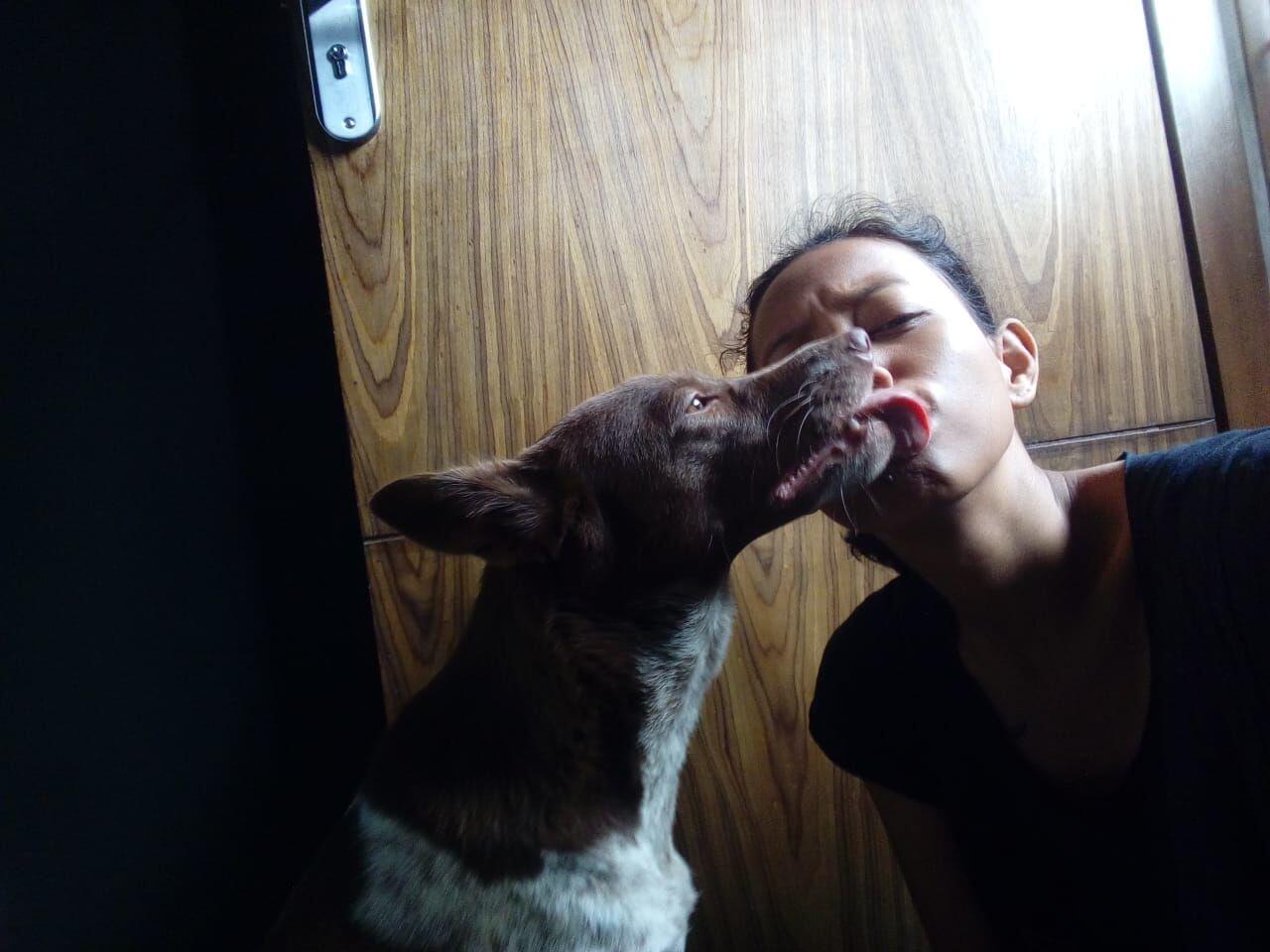 Kisah Inspiratif: Debby Handoko, Sang Penyelamat Anjing Liar