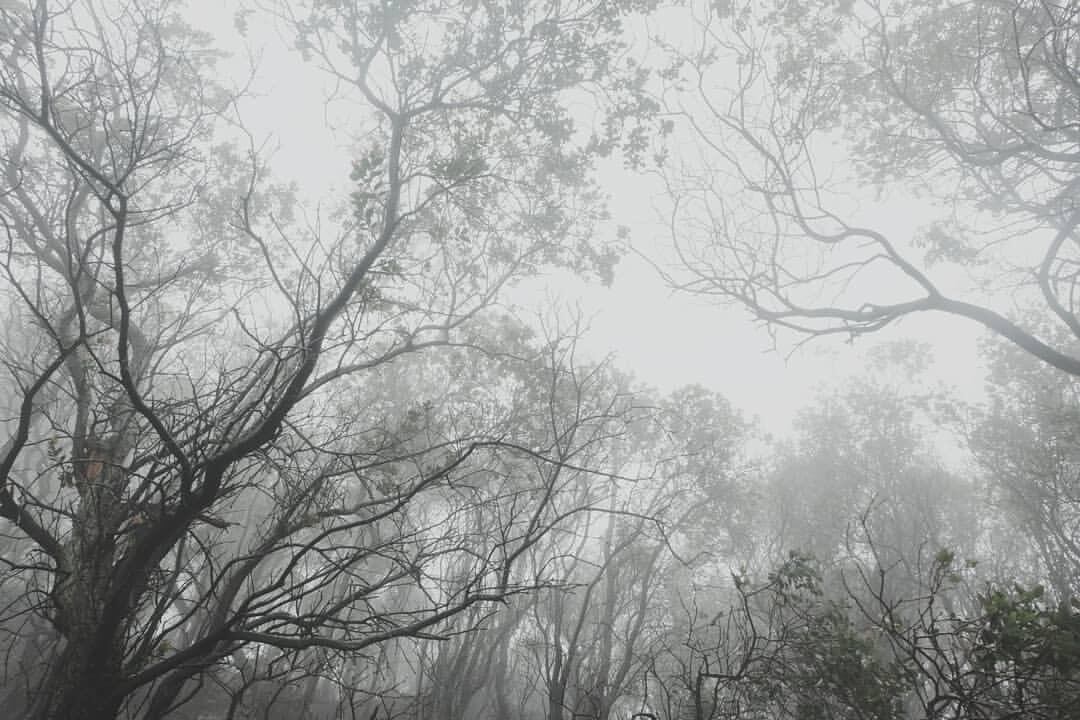 Pikiran Mumet, Banyak masalah ? Solusinya Liburan ! Liburan Murah? Ke Bandung aja 