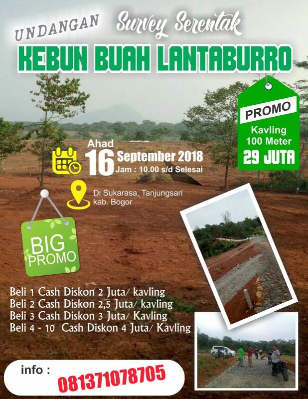 Investasi tanah kebun yang untungnya meroket